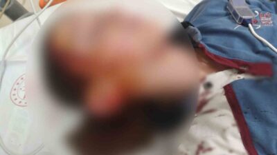 İzmir’in Menderes ilçesinde bir bakkal ziyareti sırasında komşusunun Akita cinsi