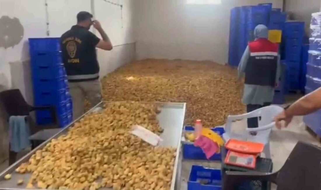 Köşk ilçesinde gerçekleştirilen gıda güvenliği operasyonunda, değeri yaklaşık 20 milyon