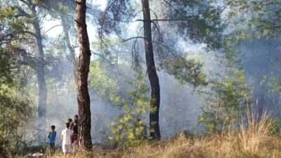 Muğla’nın Köyceğiz ilçesindeki ormanlık alanda çıkan yangın, ekiplerin hızlı müdahalesi