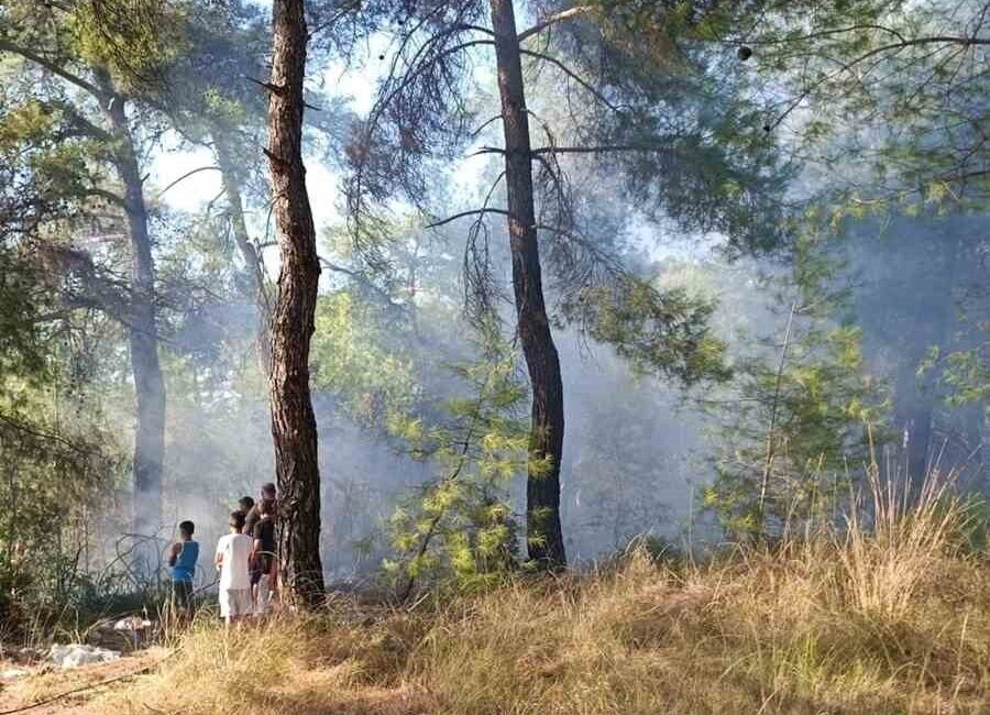 Muğla’nın Köyceğiz ilçesindeki ormanlık alanda çıkan yangın, ekiplerin hızlı müdahalesi