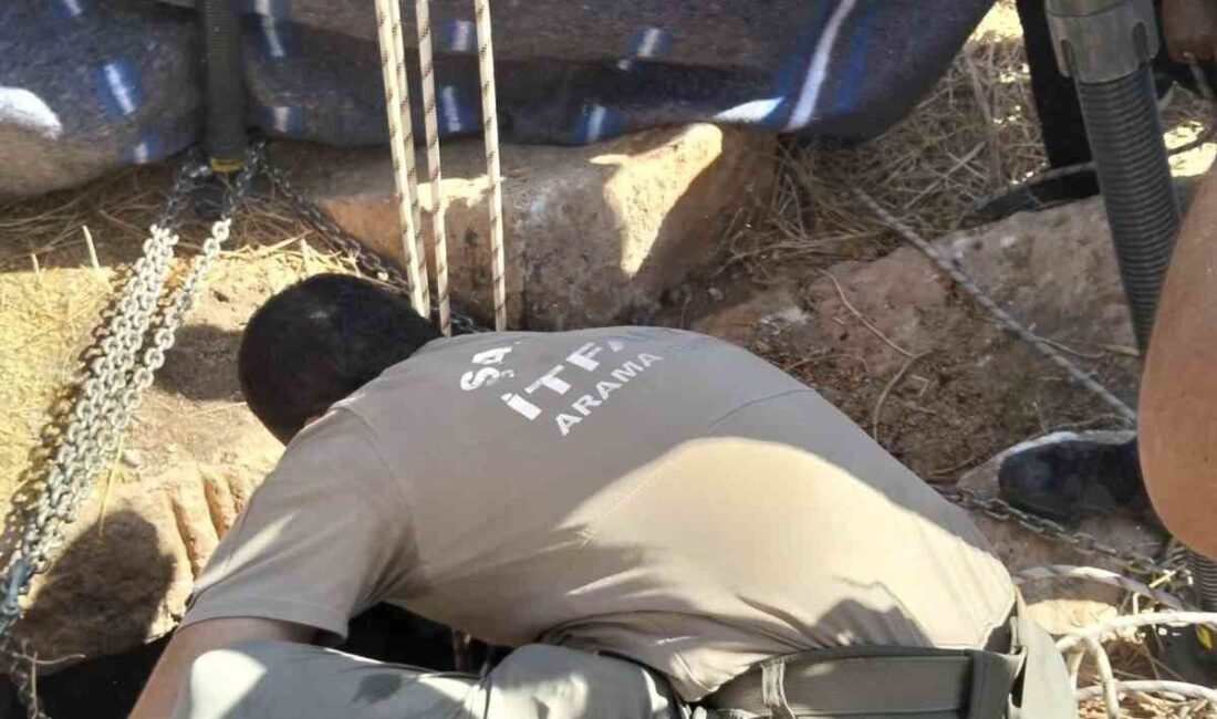 Şanlıurfa’nın Akçakale ilçesinde, koyun otlatma esnasında yeğeniyle beraber 140 metre