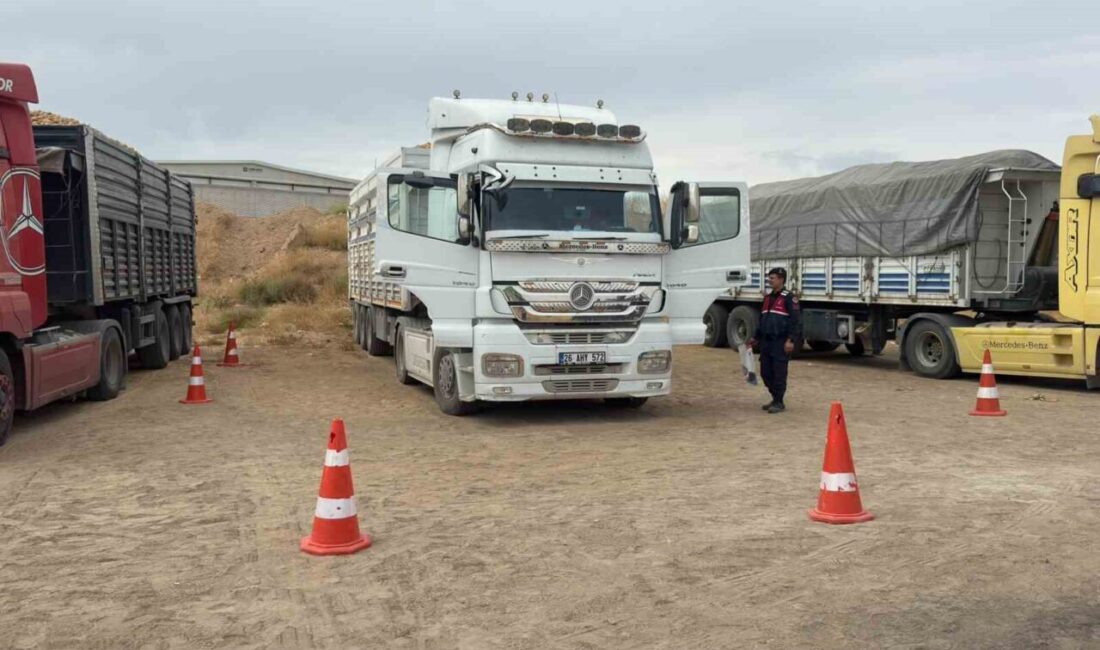 Afyonkarahisar’ın Emirdağ ilçesinde park halindeki bir tırın sürücüsü, kabininde hayatını