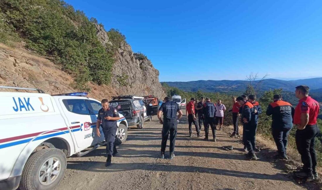 Kastamonu’nun Taşköprü ilçesinde bir kişi, kuşburnu toplarken dengesini kaybederek yaklaşık