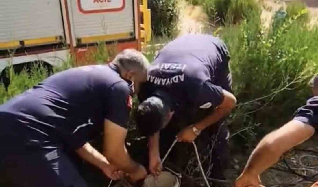 Adıyaman ilinde, bir sondaj kuyusuna düşen minik kedi, itfaiye ekiplerinin