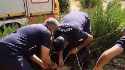 Adıyaman ilinde, bir sondaj kuyusuna düşen minik kedi, itfaiye ekiplerinin