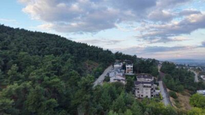 Bursa’nın Nilüfer ilçesine bağlı Çalı Mahallesi’nde, ormanın yakınındaki bir yerleşim
