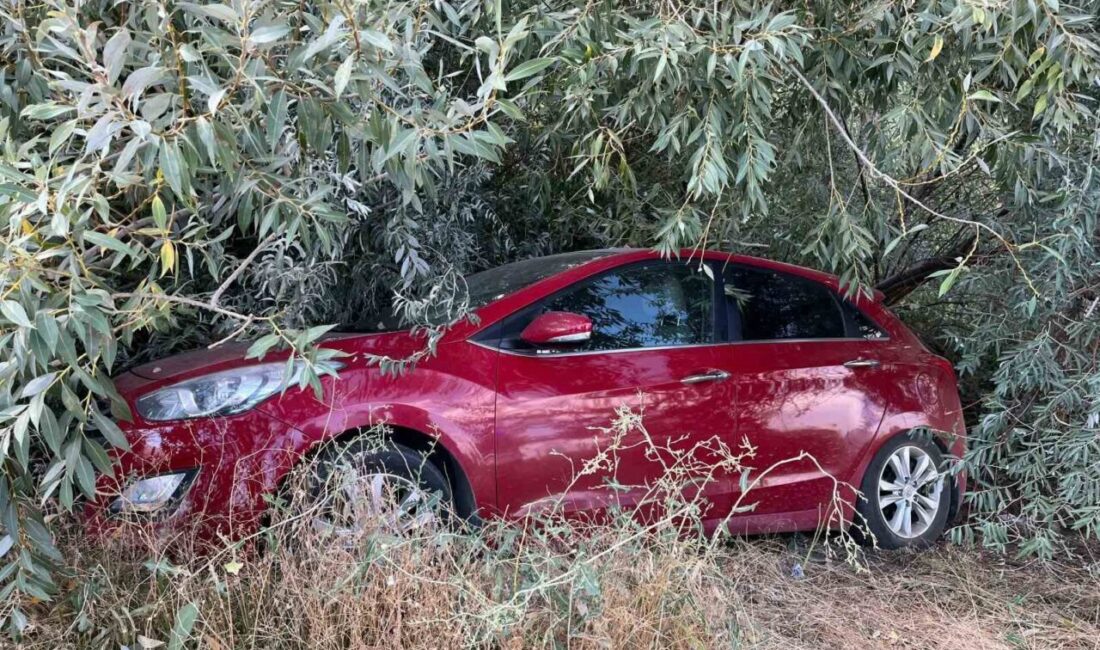 Malatya’da meydana gelen trafik kazasında bir kişi hafif yaralandı. Kaza,
