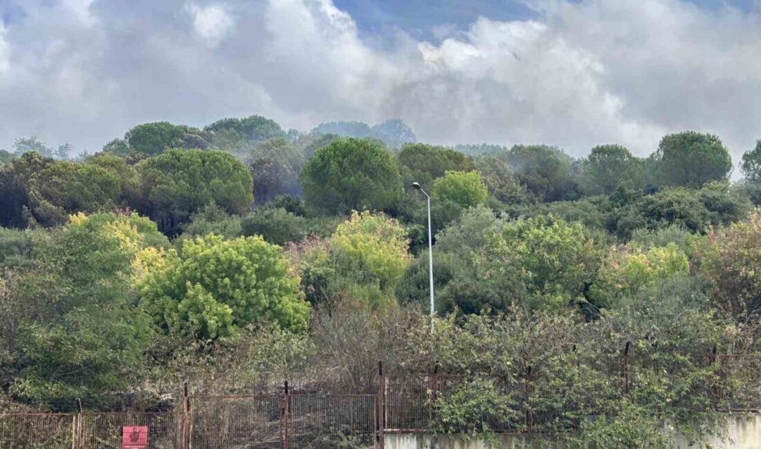 Maltepe’de yaşanan yangın, çevre ilçelerden gelen ekiplerin yoğun çabalarıyla kontrol