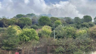 Maltepe’de yaşanan yangın, çevre ilçelerden gelen ekiplerin yoğun çabalarıyla kontrol
