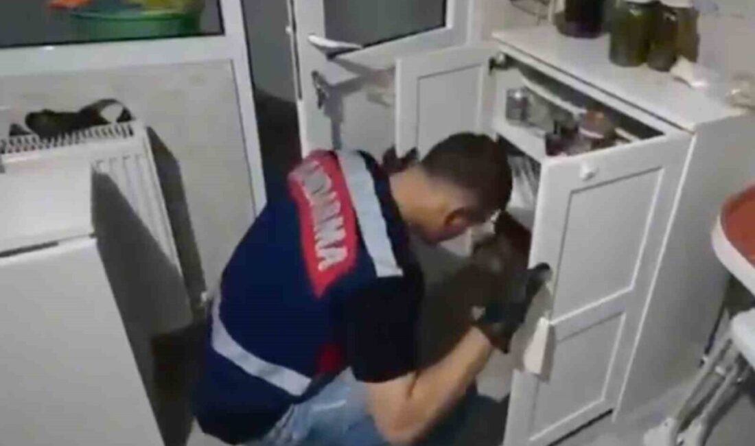 Manisa merkezli 6 ilde jandarma tarafından gerçekleştirilen operasyonda yasa dışı