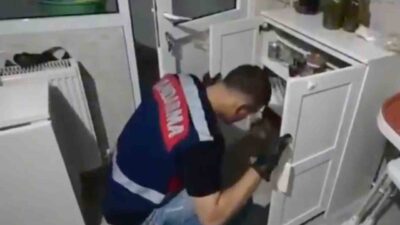 Manisa merkezli 6 ilde jandarma tarafından gerçekleştirilen operasyonda yasa dışı