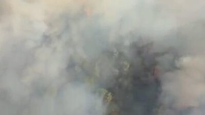 Soma ilçesinde, İstanbul Otoyolu boyunca yer alan ormanlık alanda yangın