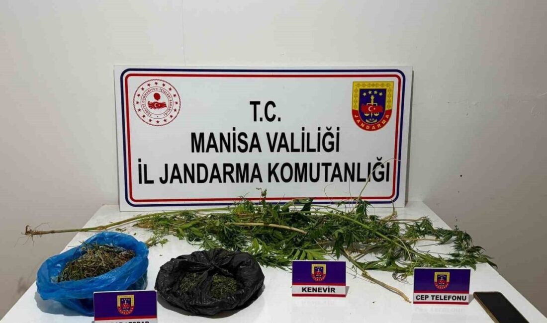 Manisa’nın Sarıgöl ilçesinde jandarma birimleri tarafından gerçekleştirilen uyuşturucu operasyonunda bir