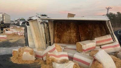 Mardin’in Kızıltepe ilçesinde meydana gelen bir trafik kazasında saman yüklü