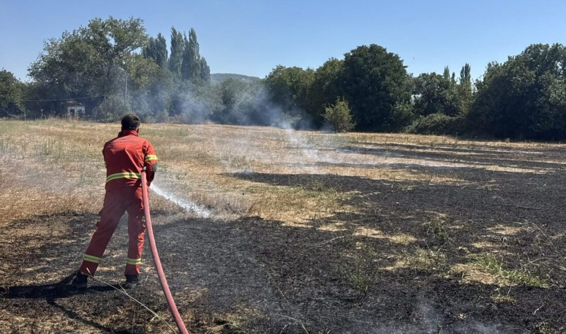 Muğla’nın Menteşe ilçesine bağlı Orhaniye Mahallesi Karabağlar Yaylası mevkiinde meydana
