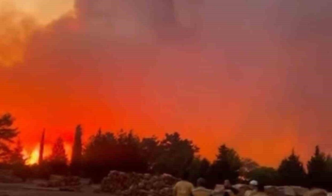 Muğla’nın Menteşe ilçesine bağlı Yaraş Mahallesi’nde çıkan orman yangınına, hem