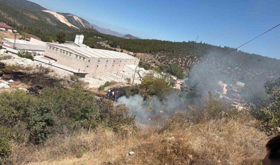 Bilecik’te bir mermer fabrikasının bahçesinde başlayan yangın, hızla ormanlık alana