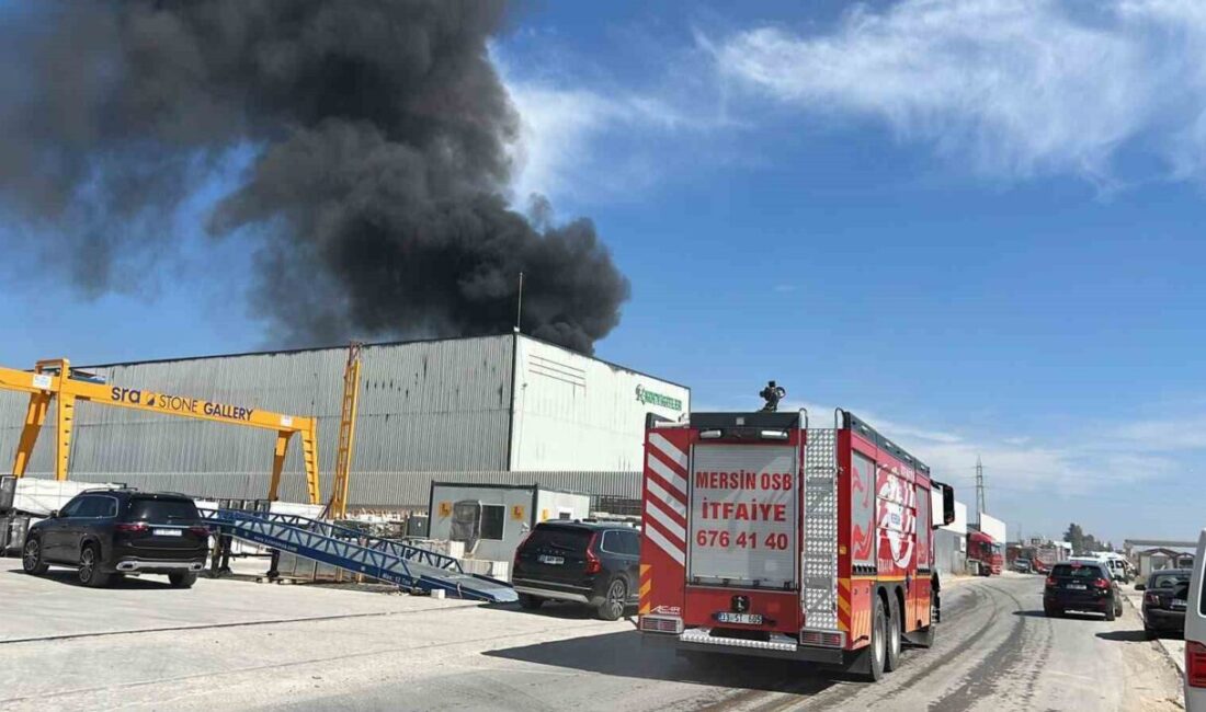 Mersin’de bir temizlik malzemesi imalat fabrikasında yangın çıktı ve yoğun