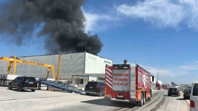 Mersin’de bir temizlik malzemesi imalat fabrikasında yangın çıktı ve yoğun