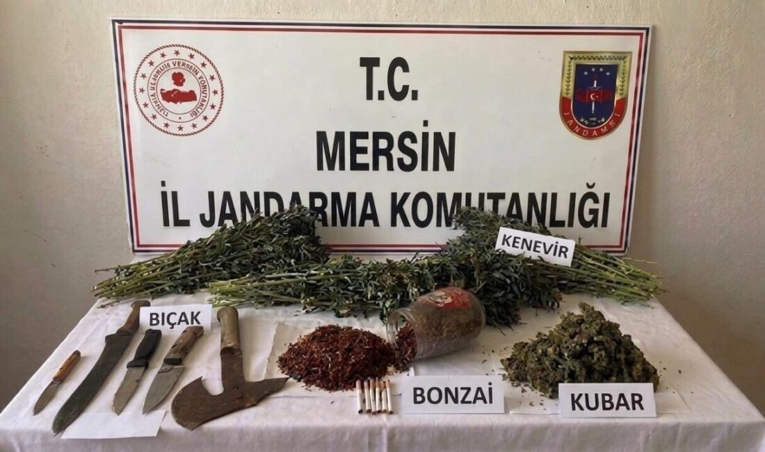 Mersin’de jandarma tarafından gerçekleştirilen bir operasyonda uyuşturucu ticareti ve yasa