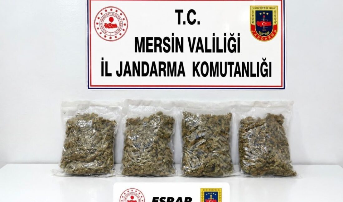 Mersin’de, jandarma ekipleri tarafından düzenlenen operasyonda 2 kilogram esrar maddesi