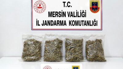 Mersin’de, jandarma ekipleri tarafından düzenlenen operasyonda 2 kilogram esrar maddesi