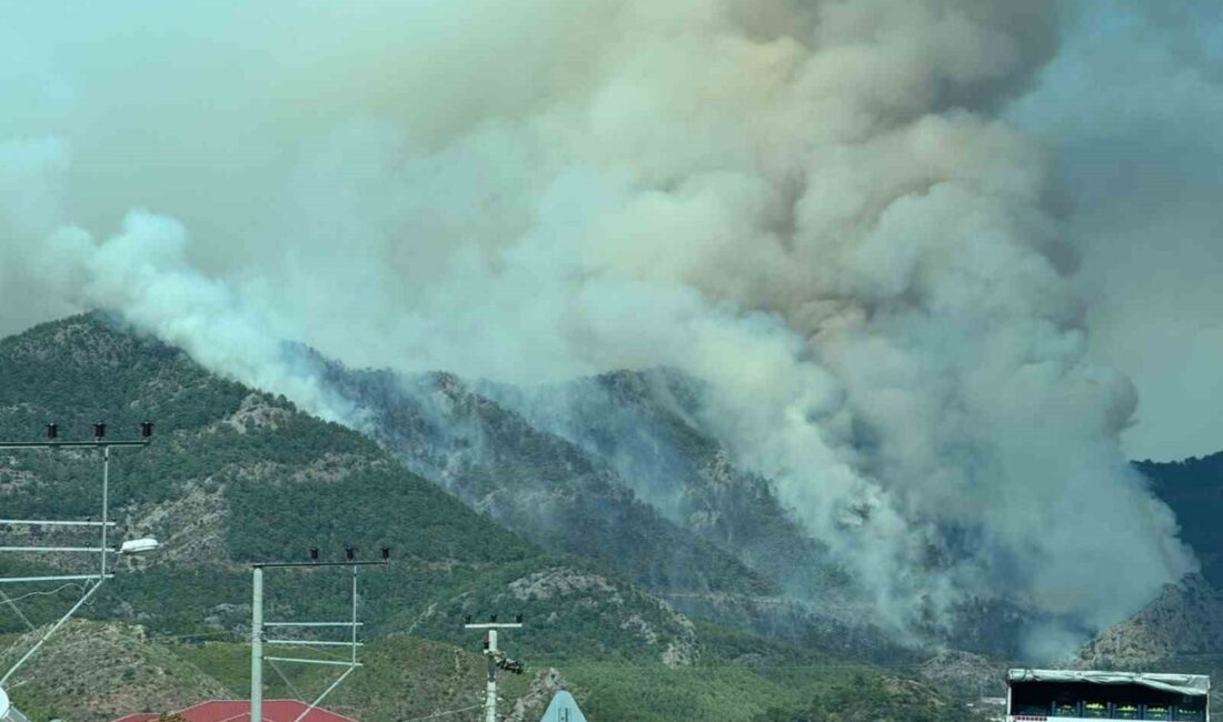 Mersin’in Bozyazı ilçesinde seraların bulunduğu alanda başlayan ve ormanlık alana