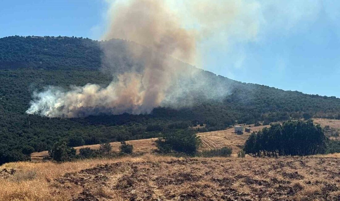 Eskişehir’in Mihalıççık ilçesine bağlı Yayla Mahallesi yakınlarında başlayan orman yangınına