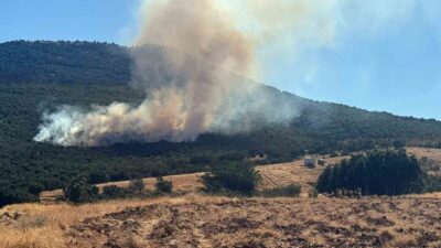 Eskişehir’in Mihalıççık ilçesine bağlı Yayla Mahallesi yakınlarında başlayan orman yangınına