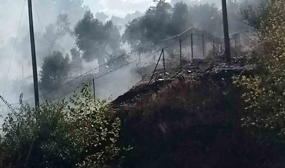 Selimiye mahallesinin sınırlarında, Milas-Söke Karayolu kenarında meydana gelen otluk yangını,
