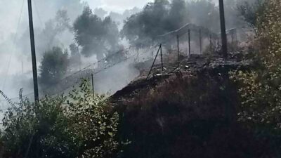 Selimiye mahallesinin sınırlarında, Milas-Söke Karayolu kenarında meydana gelen otluk yangını,