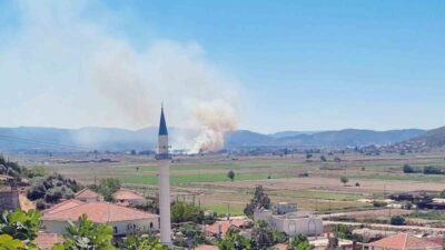 Muğla’nın Milas ilçesine bağlı Yaşyer Mahallesi’nde sazlık ve otluk alanda