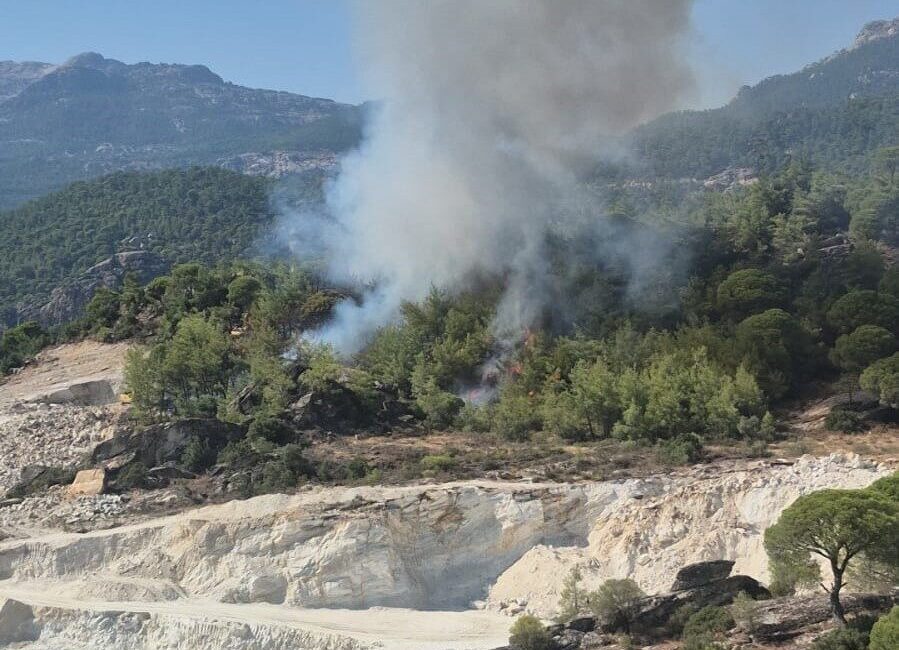 Muğla’nın Milas ilçesinde bulunan ormanlık alanda meydana gelen yangını kontrol