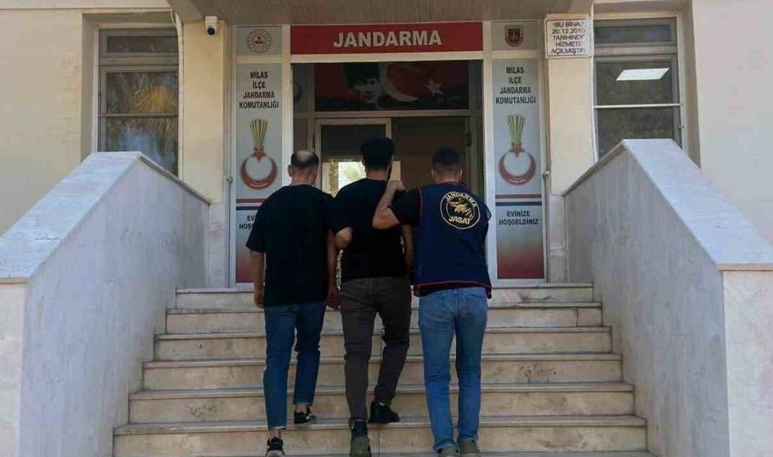 Muğla İl Jandarma Komutanlığı ekipleri, suçla mücadele faaliyetleri kapsamında yoğun