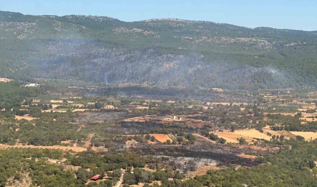 Muğla’nın Menteşe ilçesinde meydana gelen orman yangınına havadan müdahalede bulunan