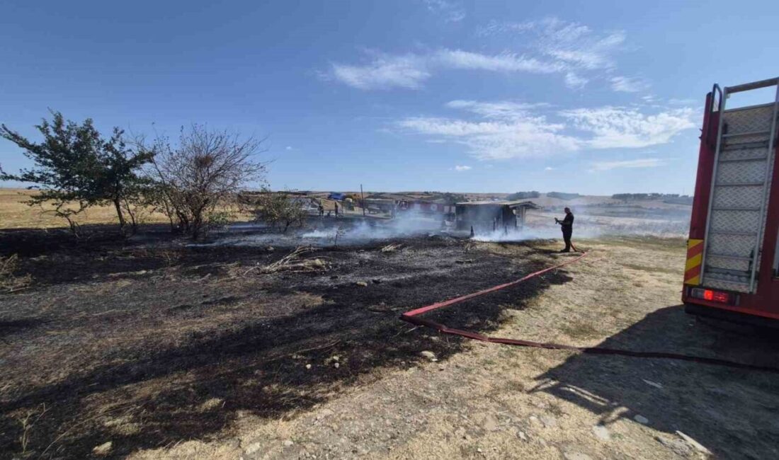 Tekirdağ’ın Muratlı ilçesinin kırsal kesiminde meydana gelen yangın, çevre sakinlerinde