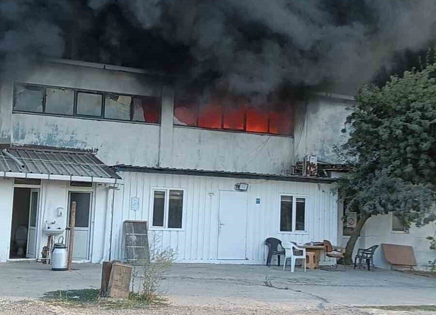 Tekirdağ’ın Muratlı ilçesinde bulunan Sanayi Sitesi’nin arka bölümünde yer alan