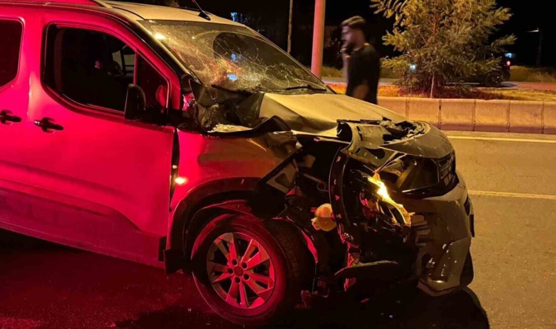 Muş-Bitlis kara yolunda bir otomobil ile bir tırın çarpışması sonucu,