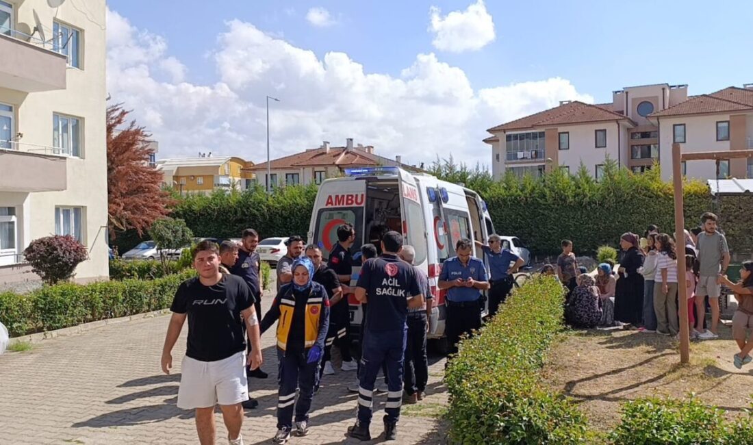 Bir apartman dairesinde meydana gelen yangın, İnegöl ilçesinde korku ve
