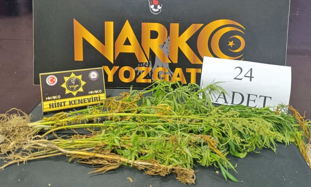 Yozgat İl Emniyet Müdürlüğü Narkotik Suçlarla Mücadele Şube Müdürlüğü ekipleri,