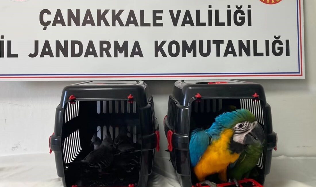 Çanakkale 1915 Köprüsü gişelerinde şüpheli bulunan bir araçta yapılan aramada,