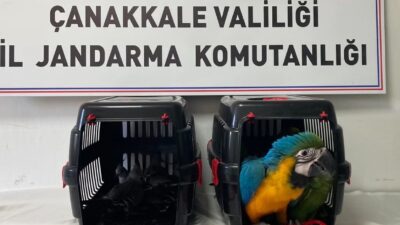 Çanakkale 1915 Köprüsü gişelerinde şüpheli bulunan bir araçta yapılan aramada,