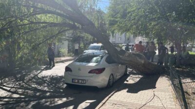 Niğde’deki bir parkta yaşanan olayda, park halindeki bir aracın üzerine
