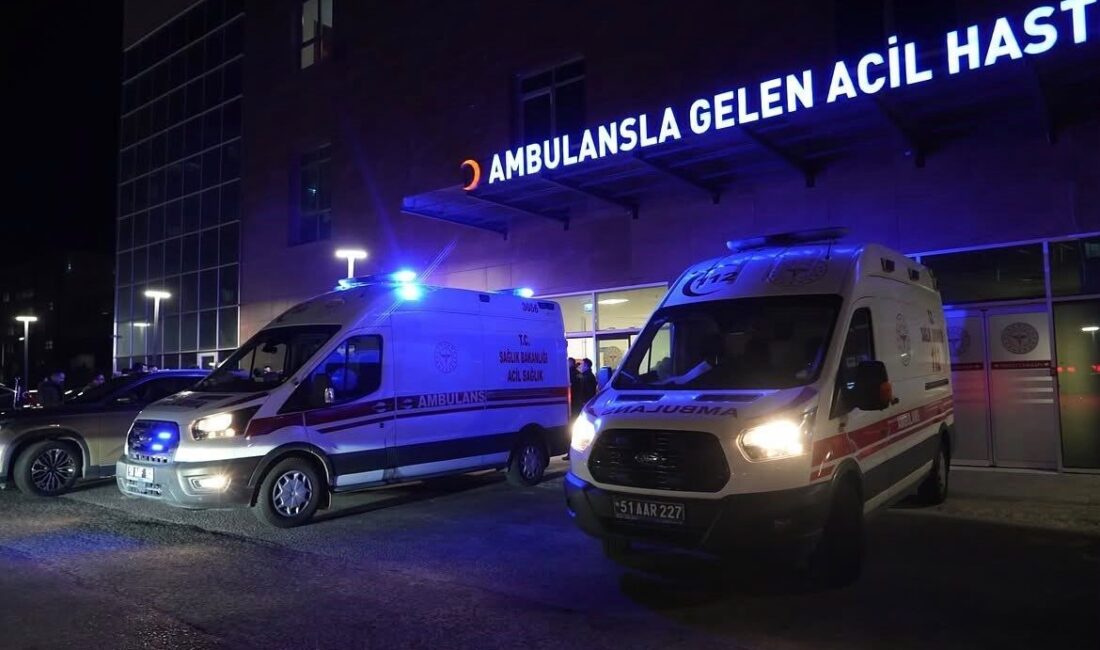 Niğde’nin Bor ilçesinde, mısır yüklü bir tır ile hafif ticari