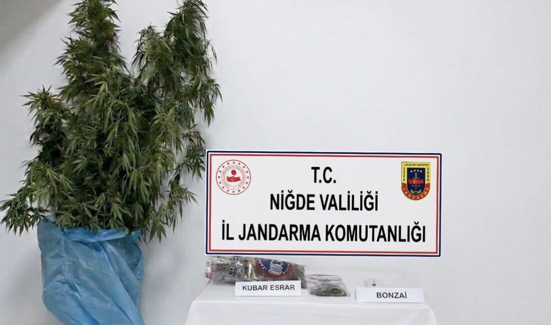 Niğde’nin Bor ilçesine bağlı Kemerhisar beldesinde jandarma ekipleri tarafından gerçekleştirilen