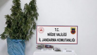 Niğde’nin Bor ilçesine bağlı Kemerhisar beldesinde jandarma ekipleri tarafından gerçekleştirilen