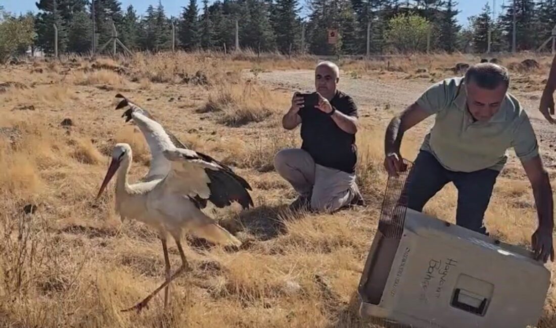 Eskişehir’de eşinin ölümüyle baş başa kalan ve 5 gün boyunca