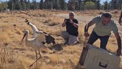 Eskişehir’de eşinin ölümüyle baş başa kalan ve 5 gün boyunca