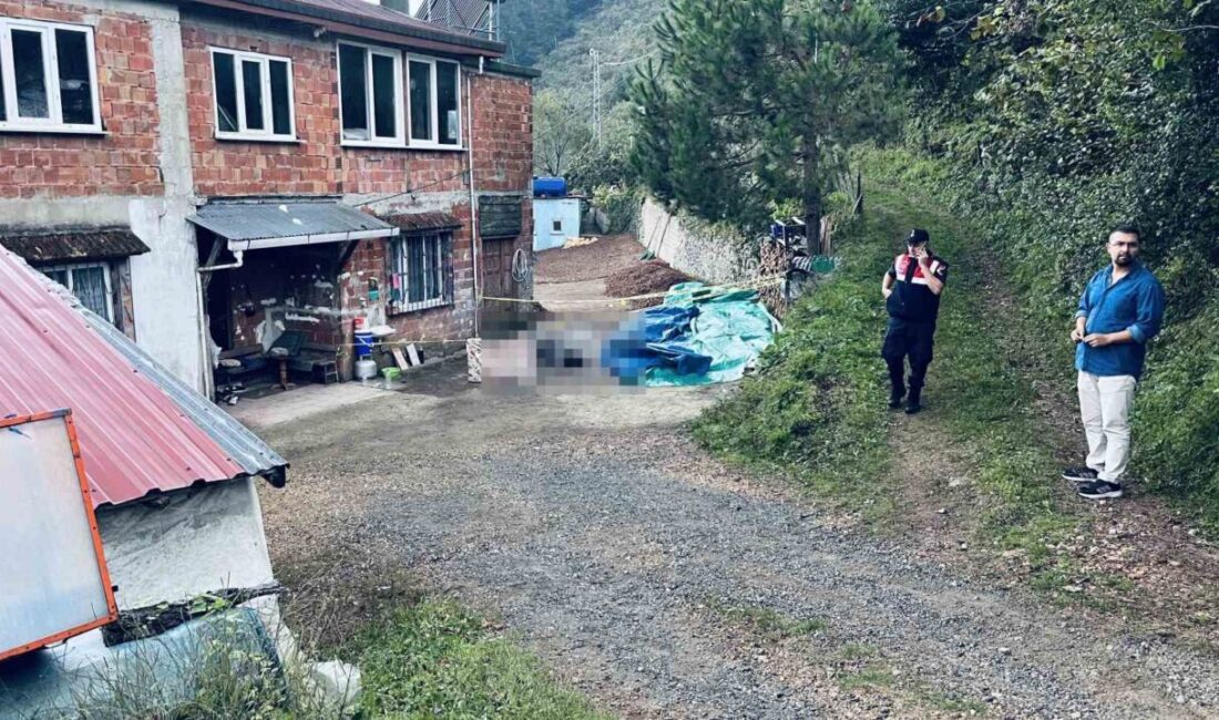 Ünye ilçesinde yaşanan silahlı kavga sonucunda bir kişinin ölümü ve