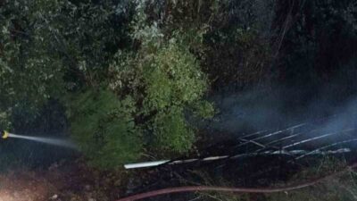 Düziçi ilçesine bağlı Kurtlar Mahallesi Harun Reşit Kalesi yakınlarındaki ormanlık